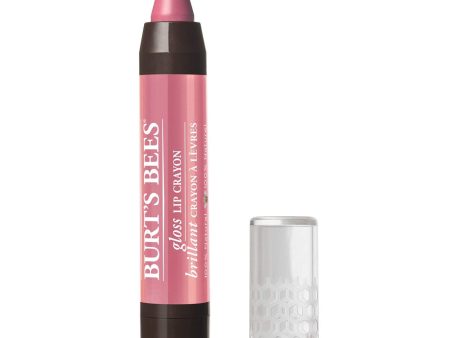 BURT S BEES - Lip Crayon Pink Lagoon - 0.11 oz.. (3.11 g) Online Sale